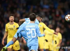 关于今夜多特蒙德外线爆发——足总杯节点到来，质疑声仍在，球队文化再被提及的信息-多米娱乐网站