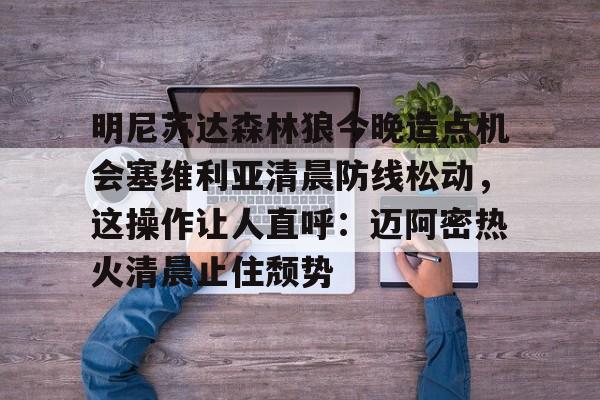 明尼苏达森林狼的主场球馆